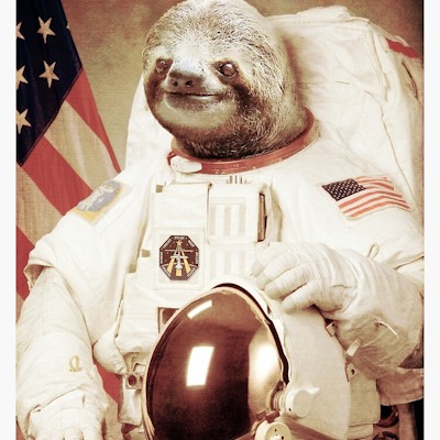 Astro Sloth 